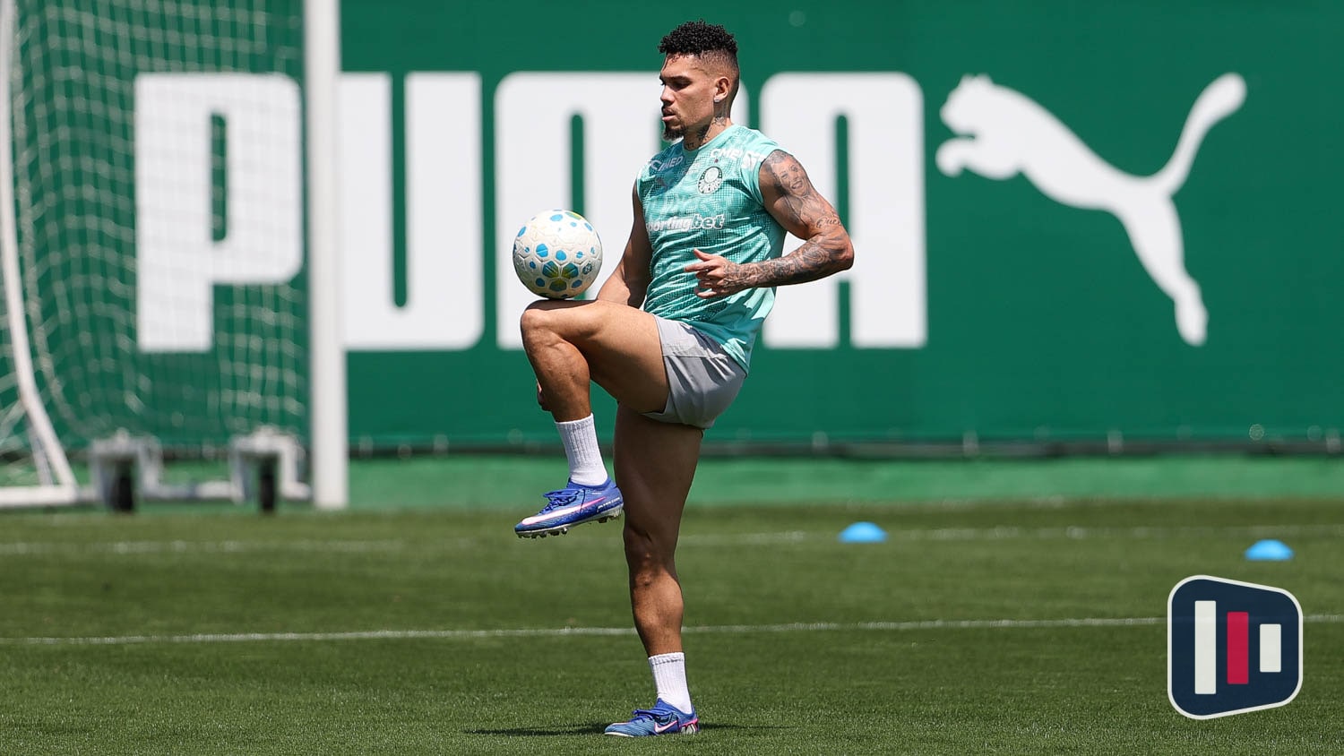 Palmeiras se reapresenta e prepara retorno após pausa com foco em recuperação
