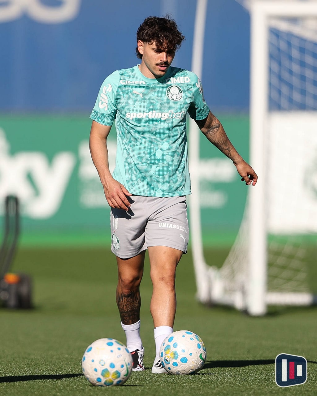 Palmeiras questiona denúncia do STJD e aponta falta de critério em punições